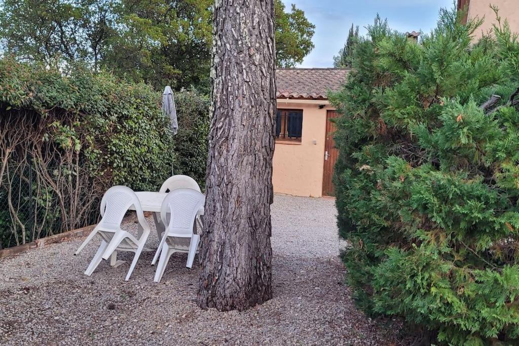 Appartement Dans Une Villa Au Coeur De La Provence Trans-en-Provence Ngoại thất bức ảnh