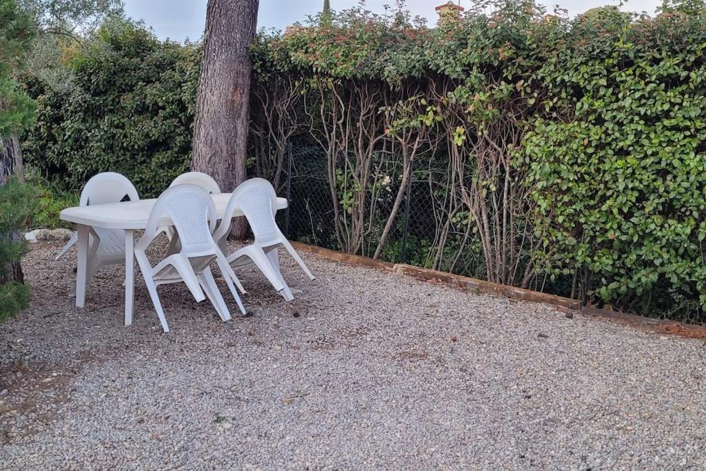 Appartement Dans Une Villa Au Coeur De La Provence Trans-en-Provence Ngoại thất bức ảnh