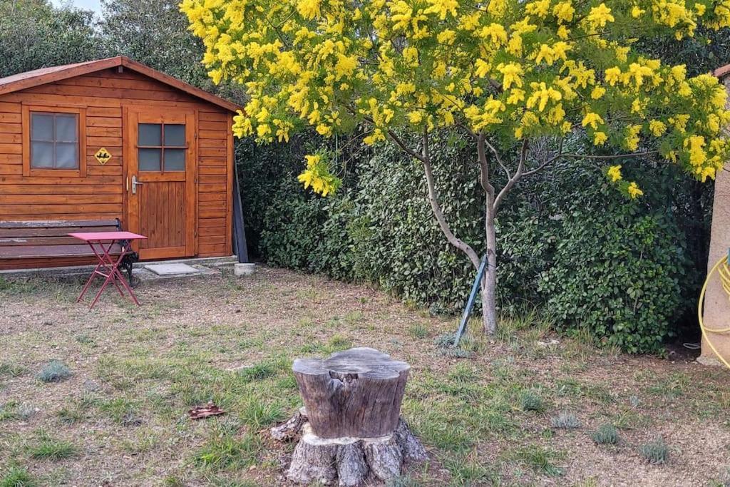 Appartement Dans Une Villa Au Coeur De La Provence Trans-en-Provence Ngoại thất bức ảnh